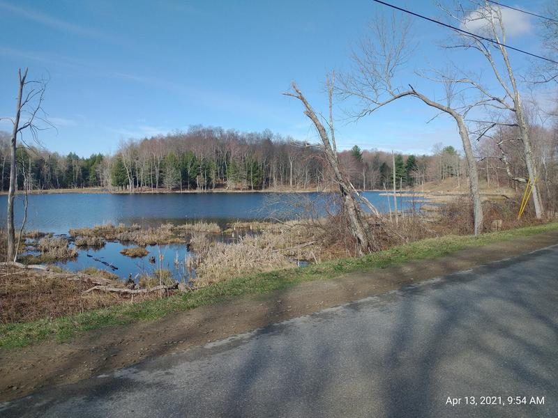 A pond along the road on Tug Hill