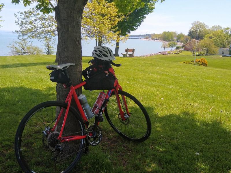 Bike under a tree at Sodus Point