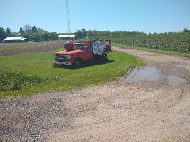 Apple truck at Burnap's Farm.
