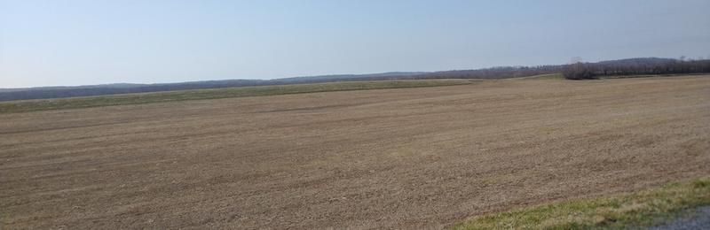 A typical spring NY farmfield.