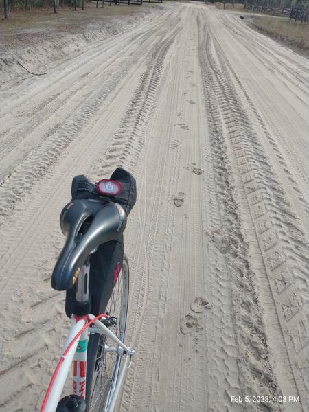 Footsteps and tire tracks in the sand in the Osceola National Forest.