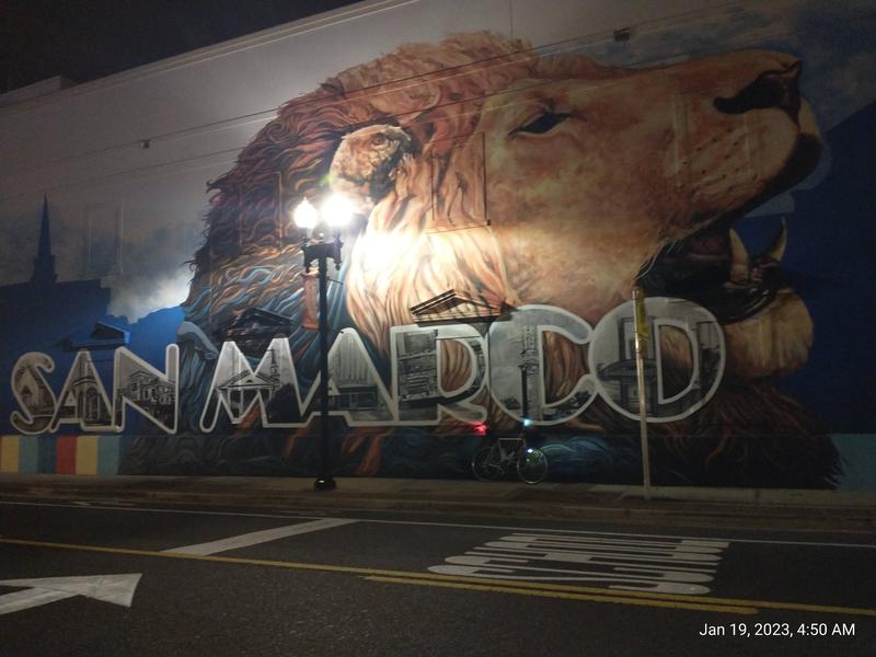 Full-building mural in San Marco neighborhood in Jacksonville.