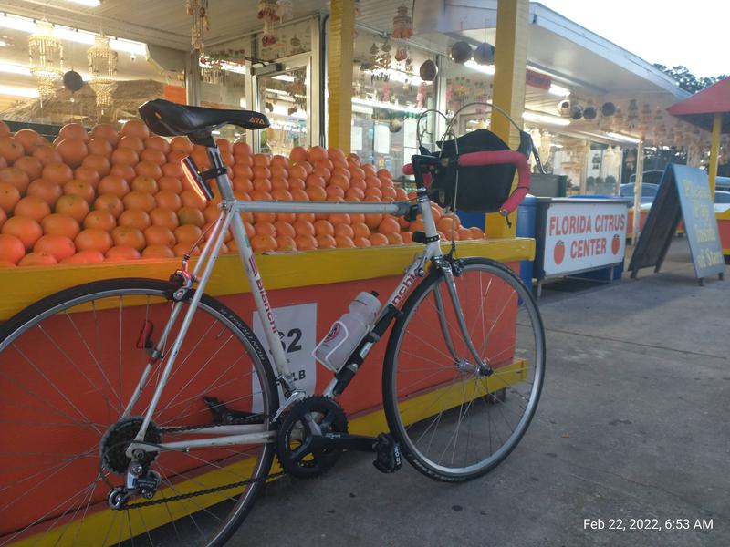 A citrus stand along Route 1